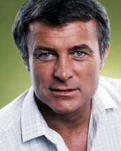 Robert Conrad Close Up 1970's Studio Portrait Green Backdrop 8x10 Photo