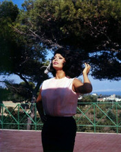 Sophia Loren poses for cameras on balcony early 1960's 8x10 photo