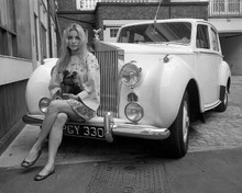 Sharon Tate sits with her dog on bumper of Rolls Royce motorcar 8x10 photo