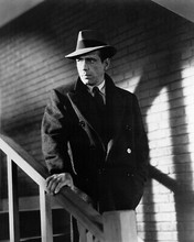 The Maltese Falcon Humphrey Bogart 8X10 Photo Print