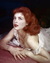 Tina Louise busty portrait in falling off shoulders nightdress 8x10 photo