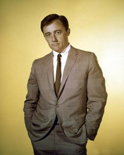 Robert Vaughn as Napolean Solo The Man From UNCLE 8x10 inch photo studio pose