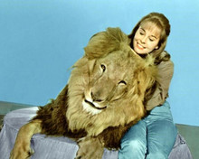 Daktari TV series Cheryl Miller & Clarence the cross-eyed Lion 8x10 inch photo