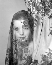 Romy Schneider early studio portrait with short hair 8x10 inch photo