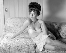 Barbara Steele 1960's glamour pose seated on sofa in low cut dress 8x10 photo