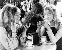 Shampoo 1974 movie Julie Christie Goldie Hawn have coffee 8x10 inch photo