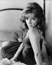 Gina Lollobrigida sexy look over shoulder in neglige 1966 Pleasant Nights 8x10