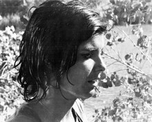 Katharine Ross with wet short hair Tell Them Willie Boy is Here 1969 8x10 photo
