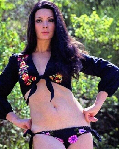 Edwige Fenech pin up pose in bikini bottoms and shirt top 8x10