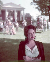 Elizabeth Taylor relaxes between scenes on Raintree County movie set 8x10 photo