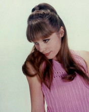 Francoise Dorleac beautiful 1966 portrait in pink sweater 8x10 inch photo