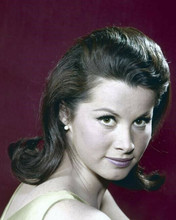 Stefanie Powers beautiful 1960's young studio portrait 8x10 inch photo