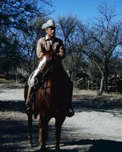 Paul Newman rides his horse Butch Cassidy and the Sundance Kid 8x10 inch photo