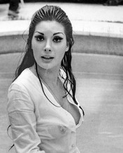 Edwige Fenech looks gorgeous in white shirt in swimming pool 8x10 inch photo