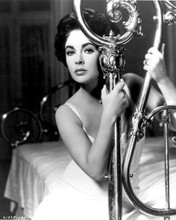 Elizabeth Taylor stunning portrait on bed Cat on a Hot Tin Roof 8x10 photo