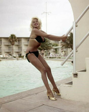 Jayne Mansfield shapely black bikini poses Beverly Hills Hotel pool 8x10 photo