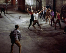 West Side Story George Chakiris Russ Tamblyn Richard Beymer 8x10 inch photo