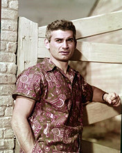Jeff Chandler poses by fence in Hawaiian shirt 8x10 inch photo