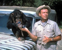 Daktari TV series Marshall Thompson with Judy the Chimp on Land Rover 8x10 photo