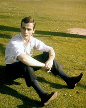 Alain Delon young pose in white shirt seated on grass 8x10 inch photo