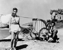 Hercules 1958 Steve Reeves kneels at chariot Sylva Koscina standing 8x10 photo