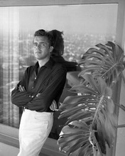 Dirk Bogarde 1950's young portrait in black shirt & white pants 8x10 inch photo
