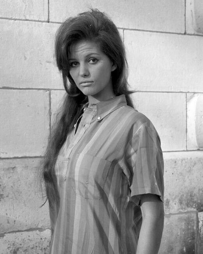 Claudia Cardinale gorgeous 1960's portrait in striped shirt 8x10 inch ...
