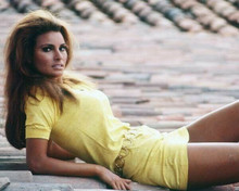 Raquel Welch wears classic 1960's yellow mini dress leggy pose 8x10 inch photo