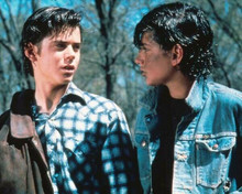 The Outsiders C.Thomas Howell as Ponyboy Ralph Macchio as Johnny 8x10 inch photo