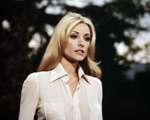 Sharon Tate in white blouse Valley of the Dolls 1967 8x10 inch photo