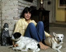David Cassidy The Partridge Family seated pose with dogs 8x10 inch photo