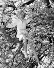 Hayley Mills sitting on branch of tree 1966 Sky West and Crooked 8x10 inch photo