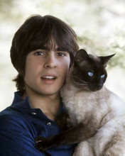 Davy Jones The Monkees star poses with his cat 1960's 8x10 inch photo