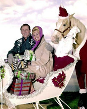 Mr Ed Christmas episode Alan Young Connie Hines in sleigh & Ed 8x10 inch photo