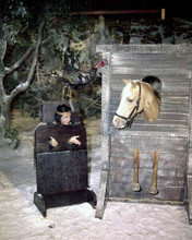 Mr Ed TV series Ed the horse puts head through stocks 8x10 inch photo