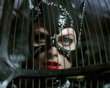 Michelle Pfeiffer pictured behind bars as Catwoman 8x10 inch photo