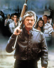 Death Wish 4 The Crackdown Charles bronson movie poster artwork 8x10 inch photo