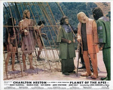 Planet of the Apes 1968 Dr Zaius Cornelius Zira look at Heston & Harrison caged