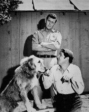 Andy Griffith Show George Lindsey with dog as Andy looks on 8x10 inch photo