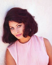 Sophia Loren beautiful 1960's portrait in pink dress leaning against wall 8x10