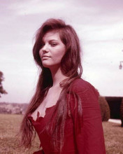 Claudia Cardinale looks beautiful in very low cut red dress 1960's 8x10 photo
