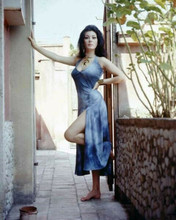 Edwige Fenech glamour pose showing leg in blue dress 8x10 inch photo