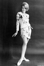 Angie Dickinson 1960's full length glamour pose in mini skirt 4x6 inch photo