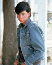 Ralph Macchio as Johnny Cade in denim jacket 1983 The Outsiders 8x10 inch photo