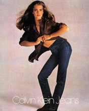 Brooke Shields famous Calvin Klein Jeans ad from 1980's 8x10 inch photo