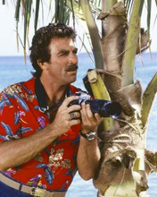 Tom Selleck in classic red Hawaiian shirt with camera by palm Magnum 8x10 photo
