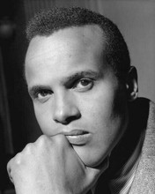 Harry Belafonte The King of Calypso activist & actor 1950's portrait 8x10 photo