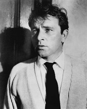 Richard Burton 1960's portrait wearing shirt & tie with cardigan 8x10 inch photo