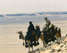 Lawrence of Arabia Peter O'Toole & Omar Sharif cross desert on camels 8x10 photo