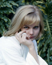 Carol Lynley lovely portrait 1965 in white bath robe 11x14 photo